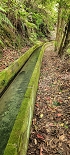 Plants: image 67 Of 208 Thumb